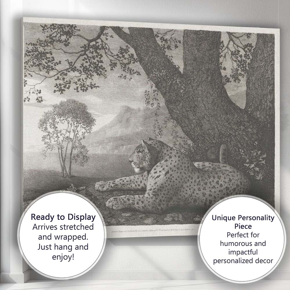Resting Cheetah Beneath Ancient Tree Monochrome Wildlife Engraving Canvas Wall Art Print Decor Picture Ready to Hang