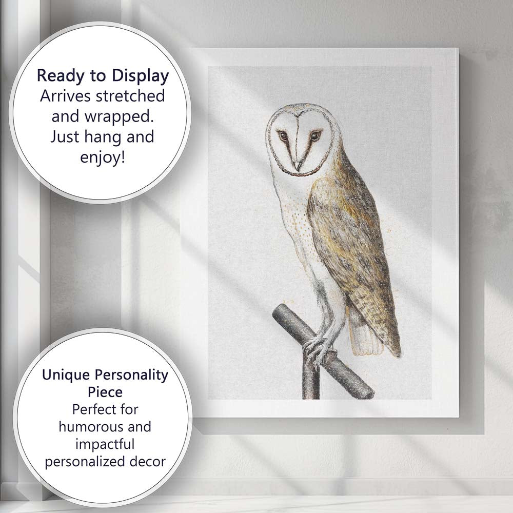 Barn Owl Detailed Wildlife Sketch Illustration Canvas Wall Art Print Decor Picture Ready to Hang