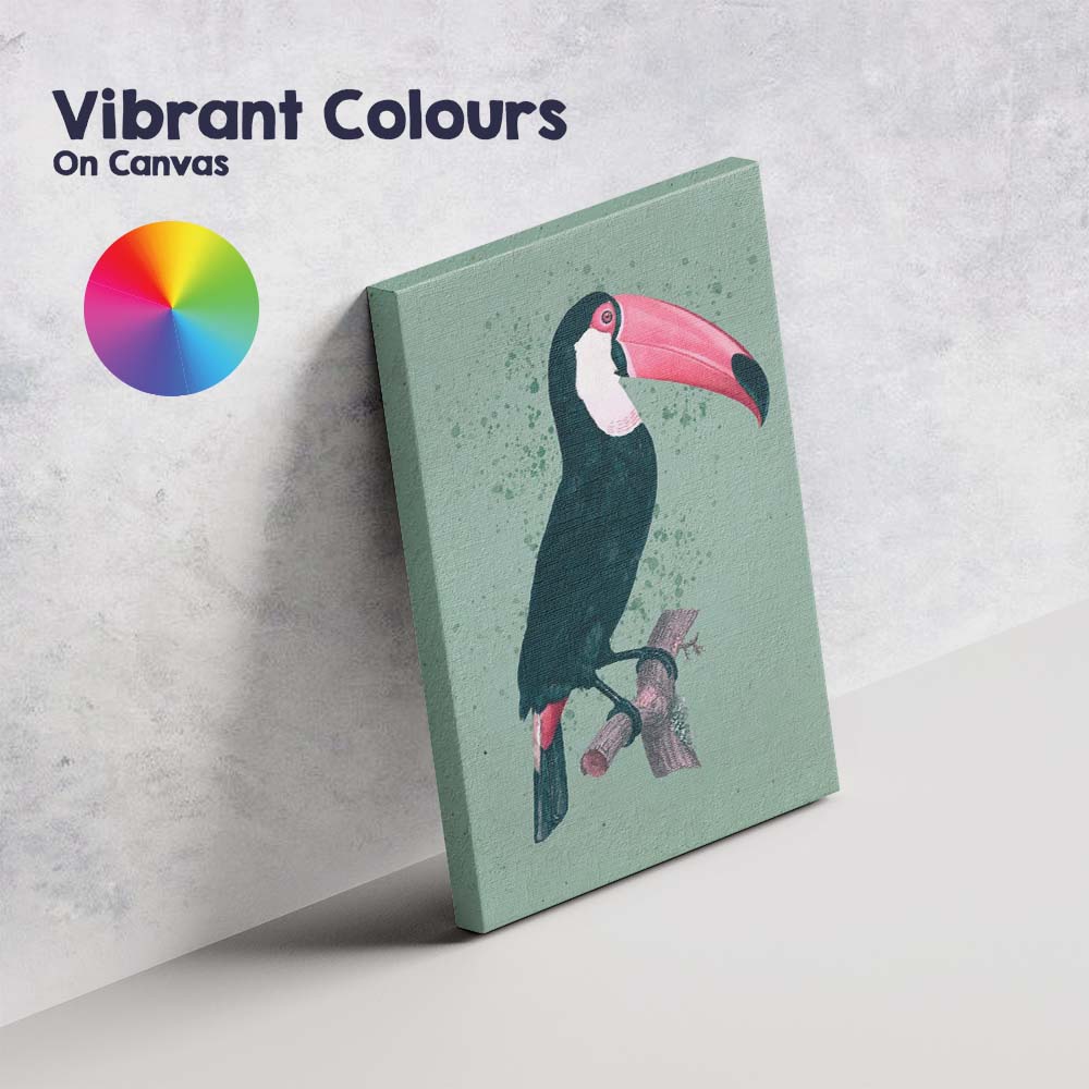 Tropical Toucan Bird Watercolour Illustration On Sage Green Canvas Wall Art Print Decor Picture Ready to Hang