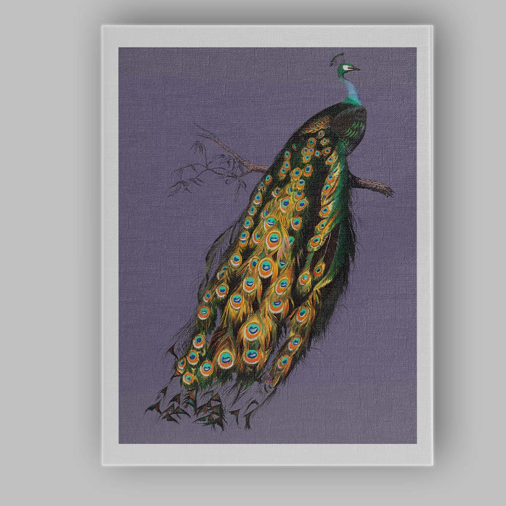 Majestic Peacock Bird Illustration On Soft Lavender Background Canvas Wall Art Print Decor Picture Ready to Hang