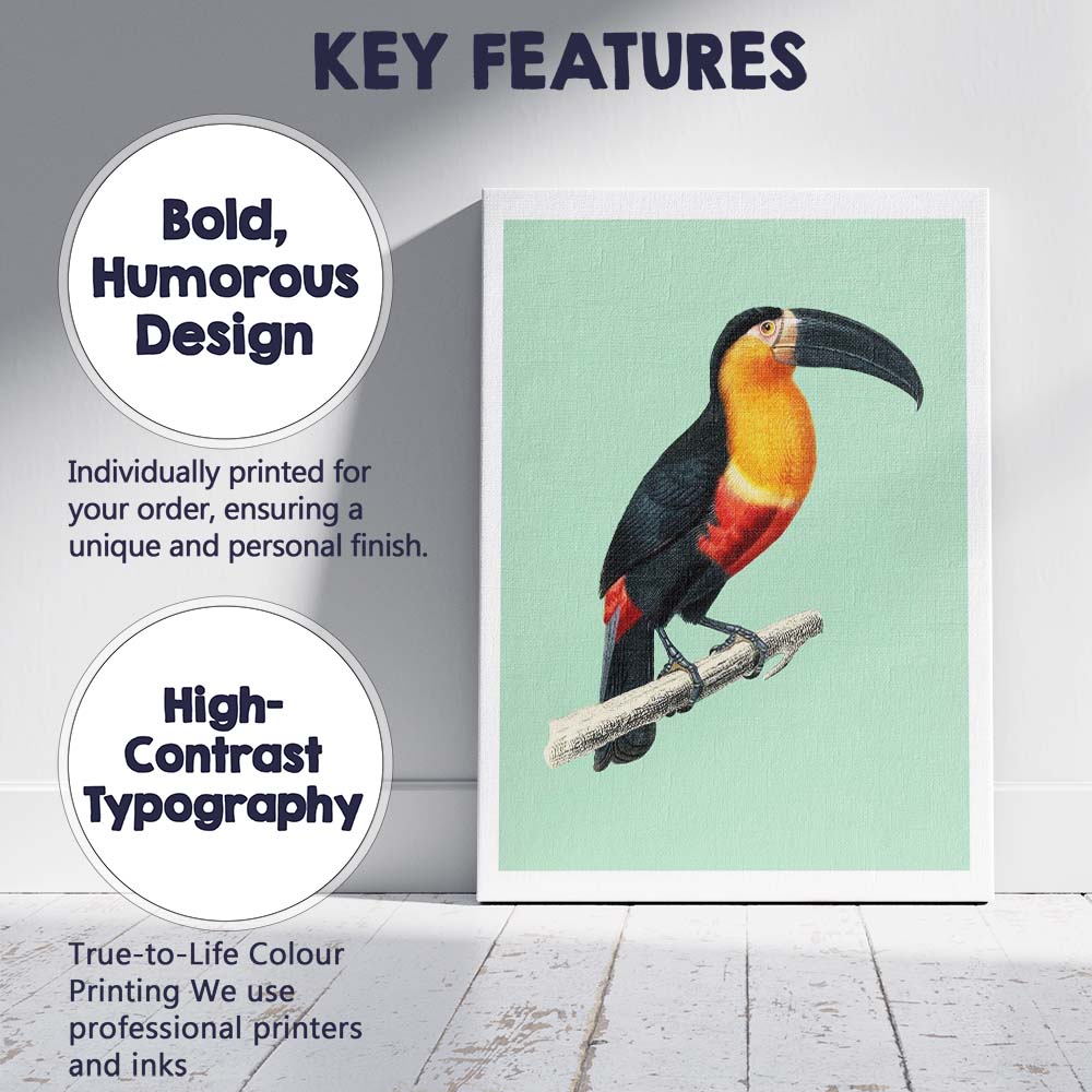 Tropical Toucan Bird Illustration On Soft Sage Green Background Canvas Wall Art Print Decor Picture Ready to Hang