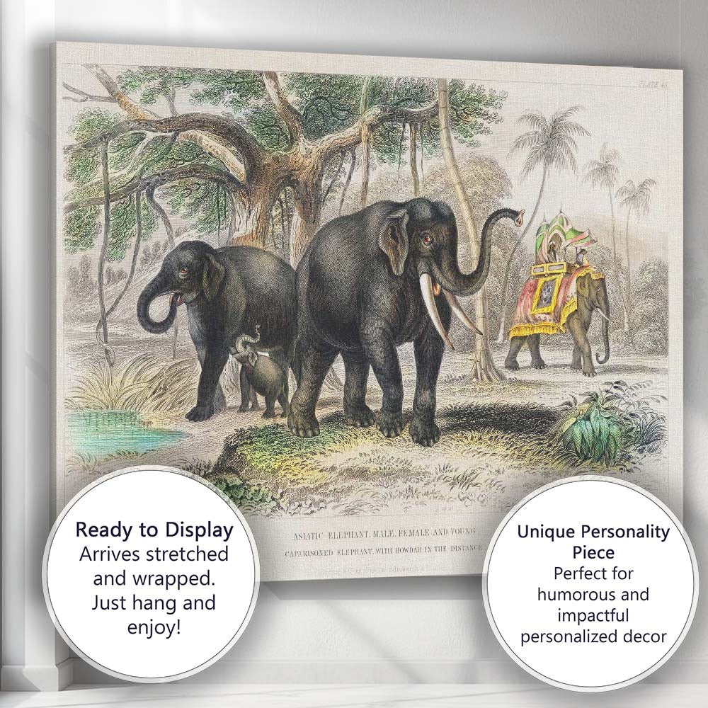 Antique Asiatic Elephant Family Tropical Landscape Natural History Illustration Canvas Wall Art Print Decor Picture Ready to Hang