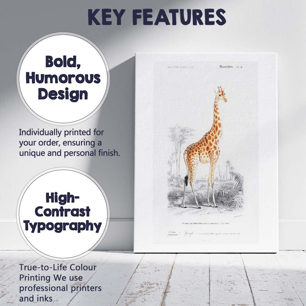Antique Giraffe Wildlife Portrait Natural History Illustration Canvas Wall Art Print Decor Picture Ready to Hang