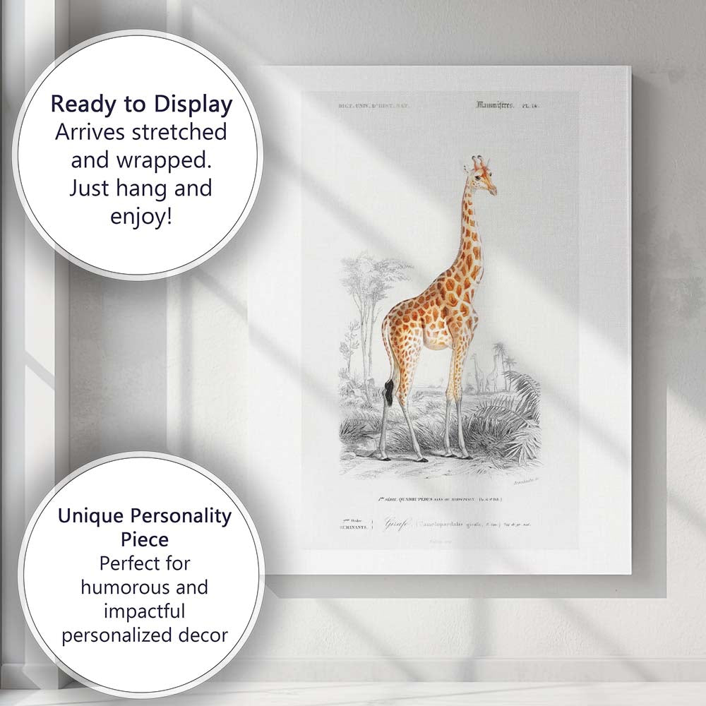 Antique Giraffe Wildlife Portrait Natural History Illustration Canvas Wall Art Print Decor Picture Ready to Hang