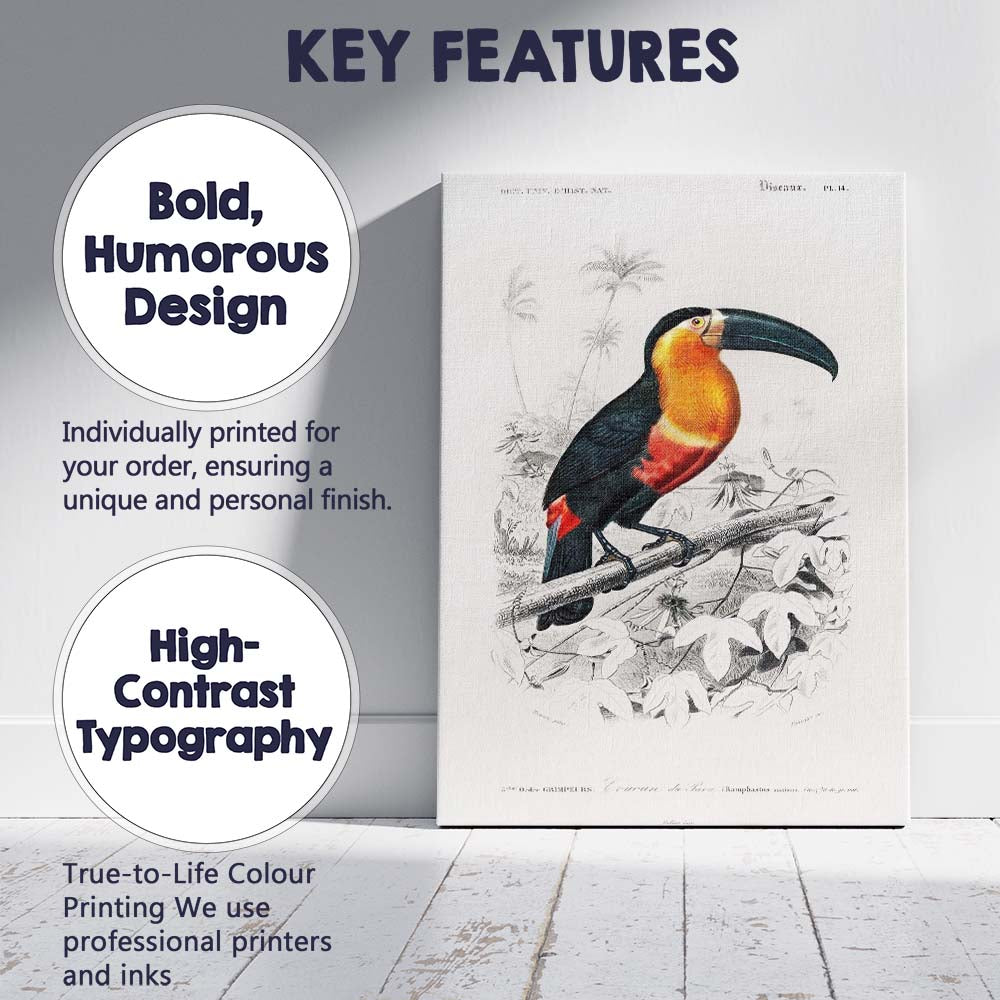Colourful Tropical Toucan Bird Botanical Illustration Canvas Wall Art Print Decor Picture Ready to Hang