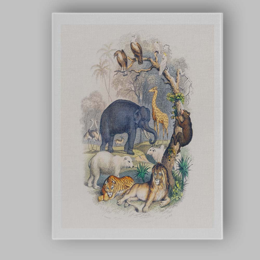 Exotic Wildlife Animal Kingdom Collage Illustration Canvas Wall Art Print Decor Picture Ready to Hang