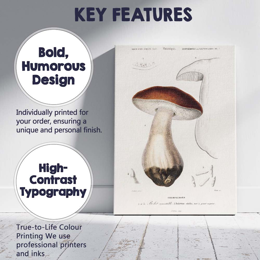 Antique Edible Mushroom Botanical Study Natural History Illustration Canvas Wall Art Print Decor Picture Ready to Hang