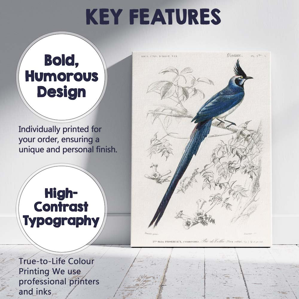 Elegant Blue Crested Tropical Bird Botanical Illustration Canvas Wall Art Print Decor Picture Ready to Hang