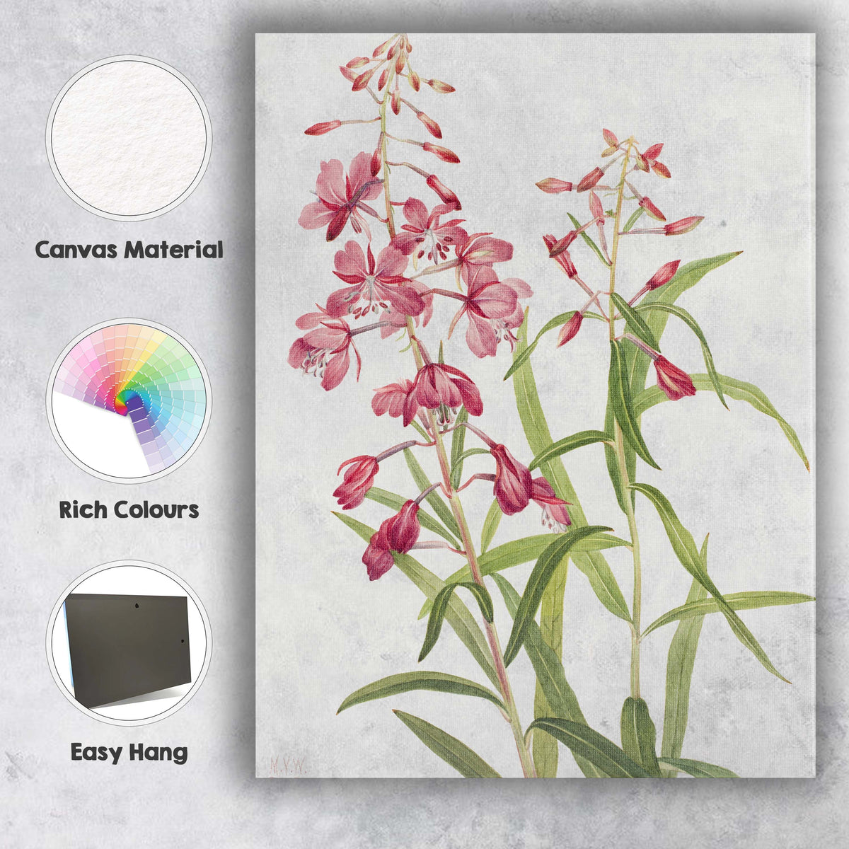 Soft Pink Wildflower Botanical Watercolour Garden Illustration Canvas Wall Art Print Decor Picture Ready to Hang