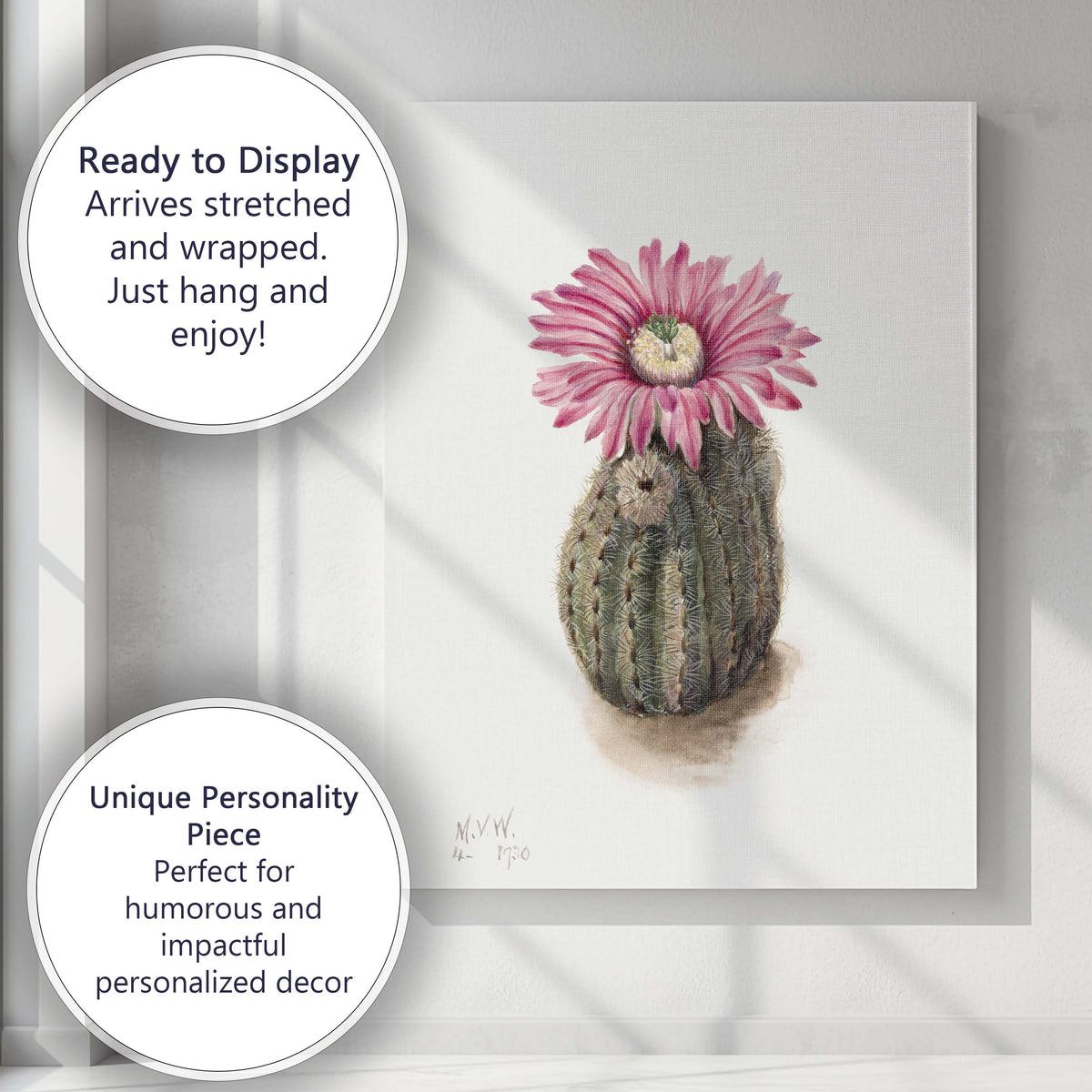Pink Cactus Bloom Desert Botanical Watercolour Illustration Canvas Wall Art Print Decor Picture Ready to Hang