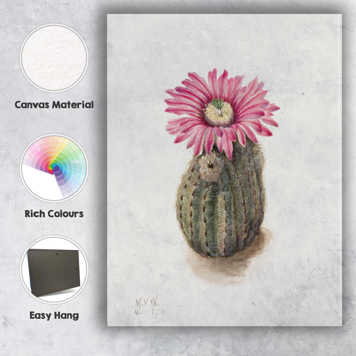 Pink Cactus Bloom Desert Botanical Watercolour Illustration Canvas Wall Art Print Decor Picture Ready to Hang