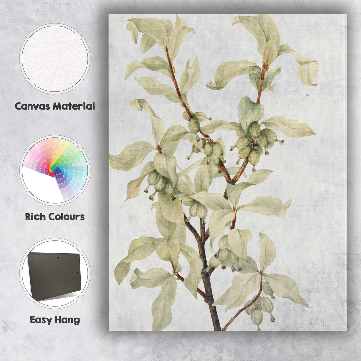 Pale Green Dogwood Branch Botanical Watercolour Study Canvas Wall Art Print Decor Picture Ready to Hang