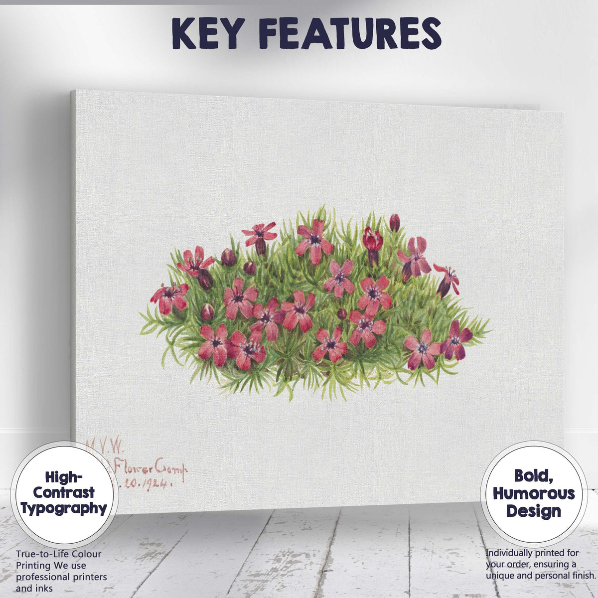 Wildflower Camp Pink Moss Phlox Botanical Watercolour Canvas Wall Art Print Decor Picture Ready to Hang