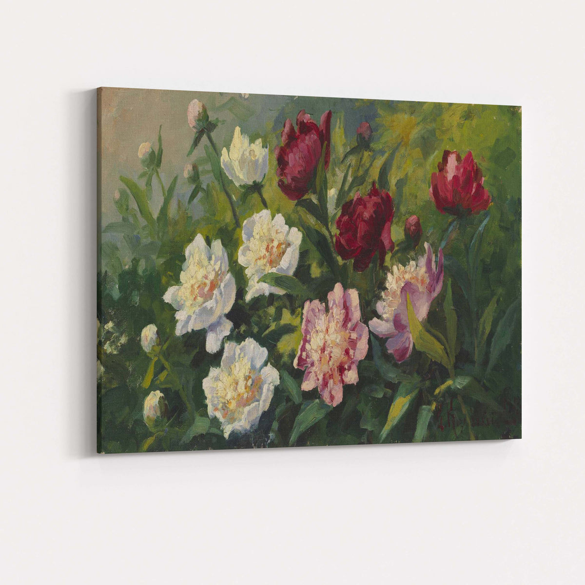 Romantic Peony Flower Garden Oil Painting Floral Artwork Canvas Wall Art Print Decor Picture Ready to Hang