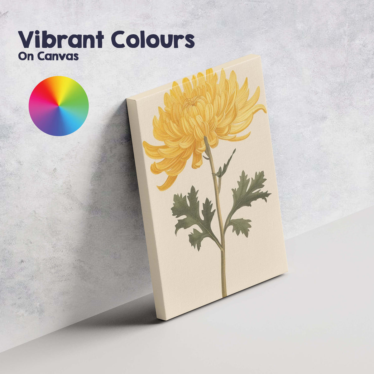 Elegant Golden Chrysanthemum Botanical Flower Illustration Canvas Wall Art Print Decor Picture Ready to Hang
