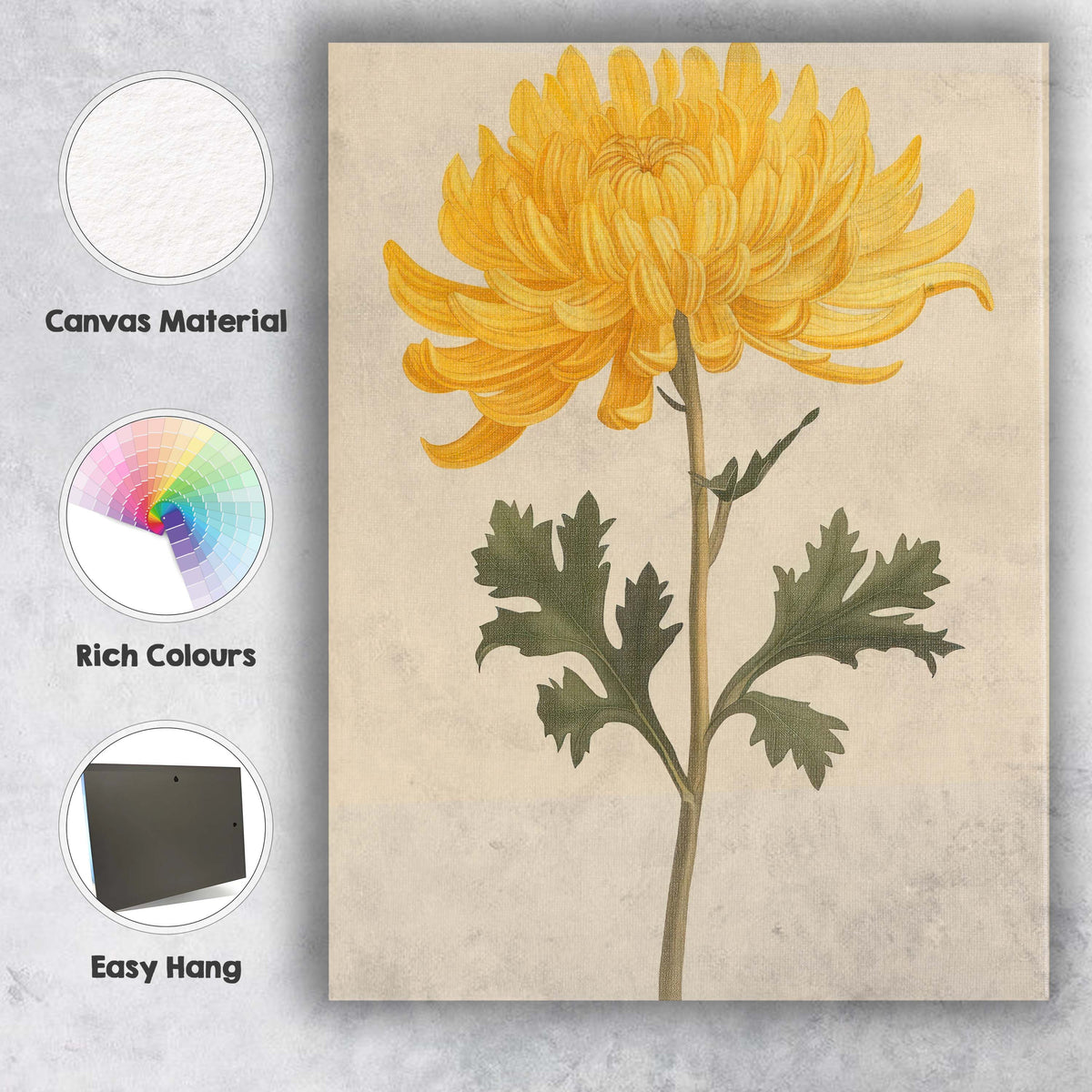 Elegant Golden Chrysanthemum Botanical Flower Illustration Canvas Wall Art Print Decor Picture Ready to Hang