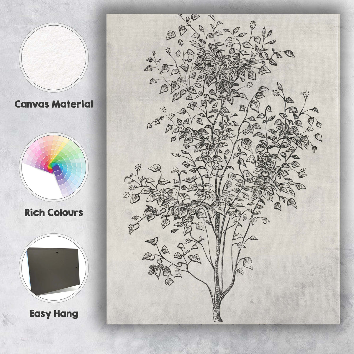 Antique Irish Ivy Botanical Line Drawing Illustration Canvas Wall Art Print Decor Picture Ready to Hang