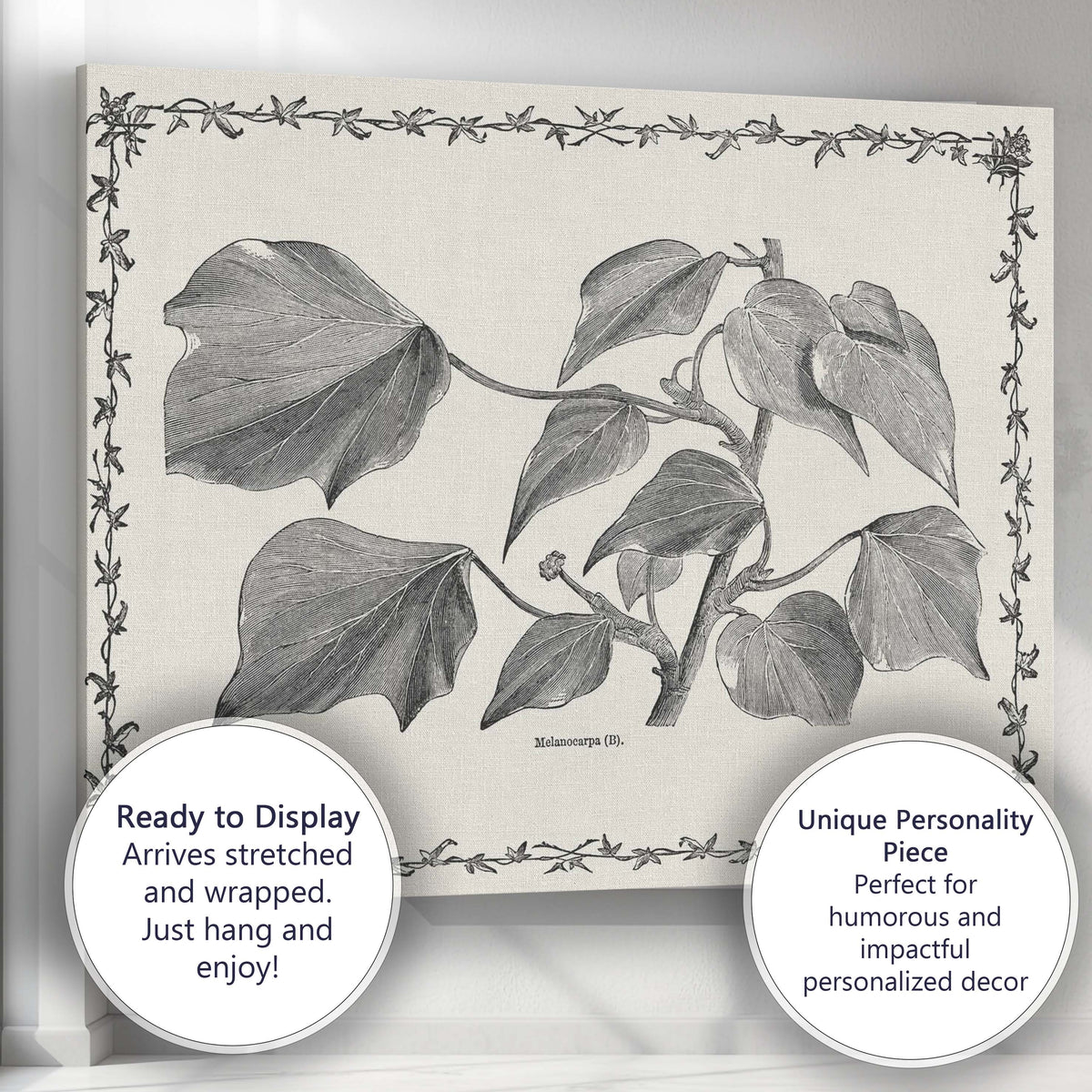 Antique Monochrome Heart Shaped Vine Leaves Botanical Illustration Canvas Wall Art Print Decor Picture Ready to Hang