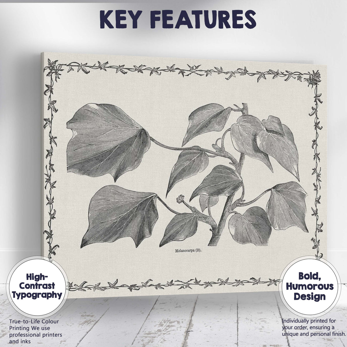 Antique Monochrome Heart Shaped Vine Leaves Botanical Illustration Canvas Wall Art Print Decor Picture Ready to Hang