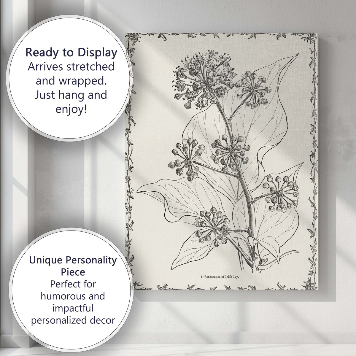 Antique Irish Ivy Flower And Berry Botanical Drawing Canvas Wall Art Print Decor Picture Ready to Hang