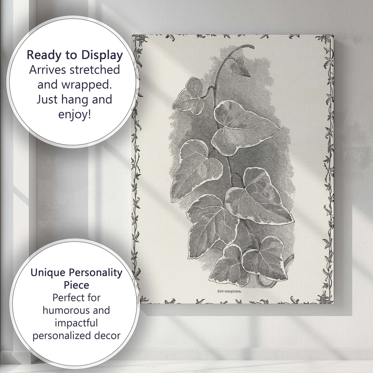 Victorian Ivy Vine Botanical Engraving Illustration Canvas Wall Art Print Decor Picture Ready to Hang