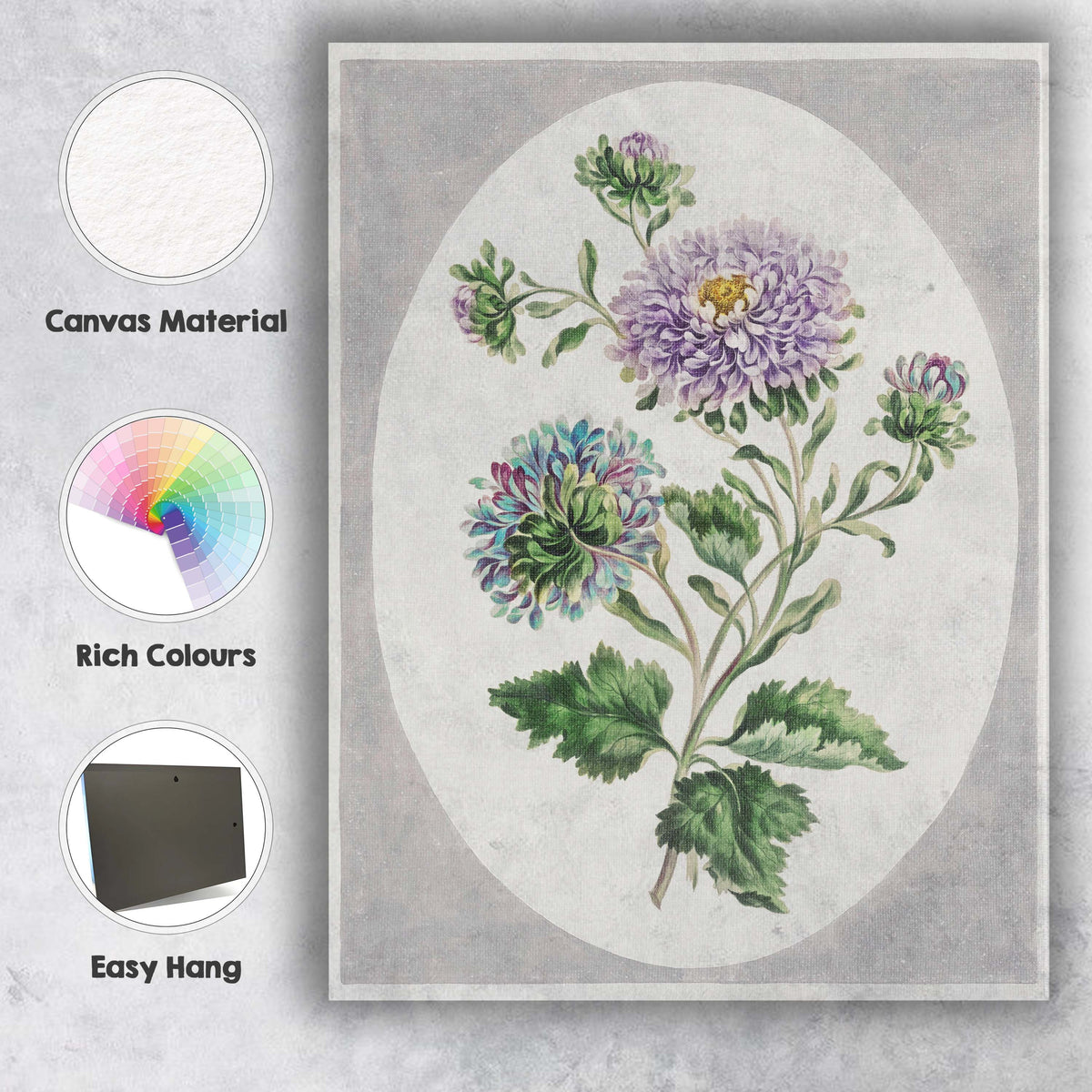 Antique Purple Chrysanthemum Botanical Floral Study Watercolour Illustration Canvas Wall Art Print Decor Picture Ready to Hang