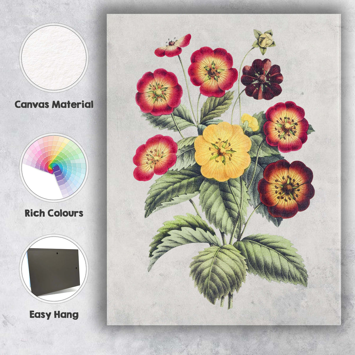 Antique Red And Yellow Potentilla Flower Botanical Illustration Canvas Wall Art Print Decor Picture Ready to Hang