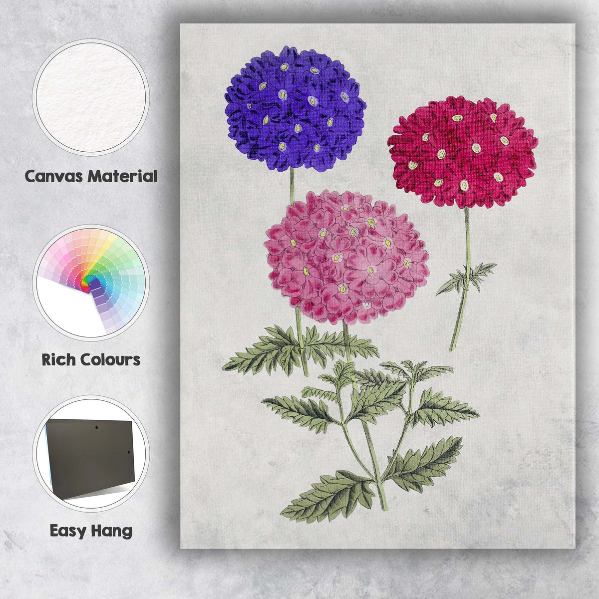 Colourful Verbena Flower Cluster Botanical Garden Illustration Canvas Wall Art Print Decor Picture Ready to Hang