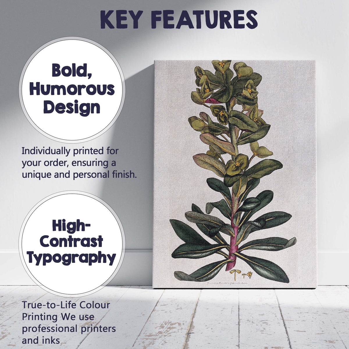 Antique Green Euphorbia Botanical Plant Study Illustration Canvas Wall Art Print Decor Picture Ready to Hang