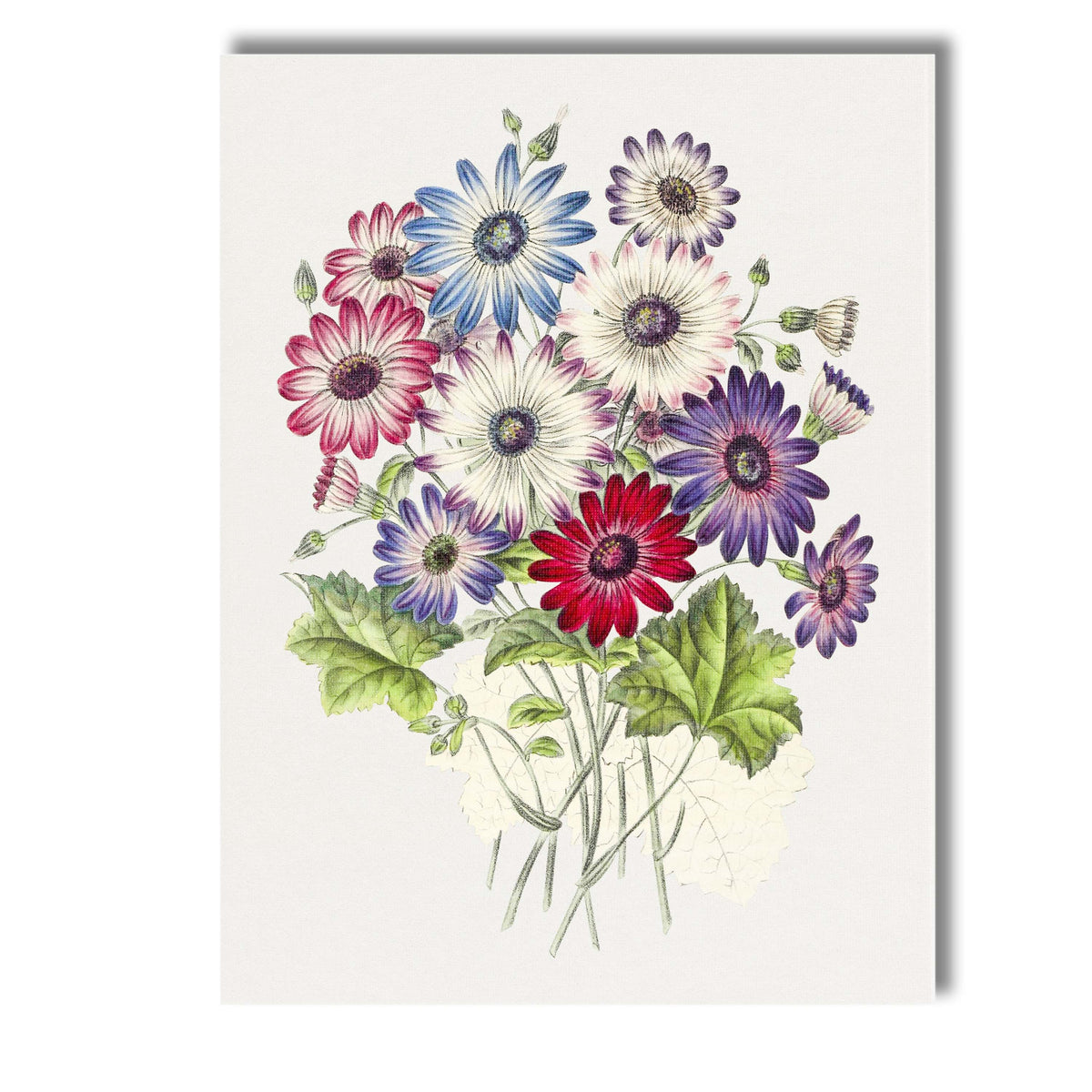 Vibrant Daisy Flower Bouquet Botanical Floral Arrangement Canvas Wall Art Print Decor Picture Ready to Hang