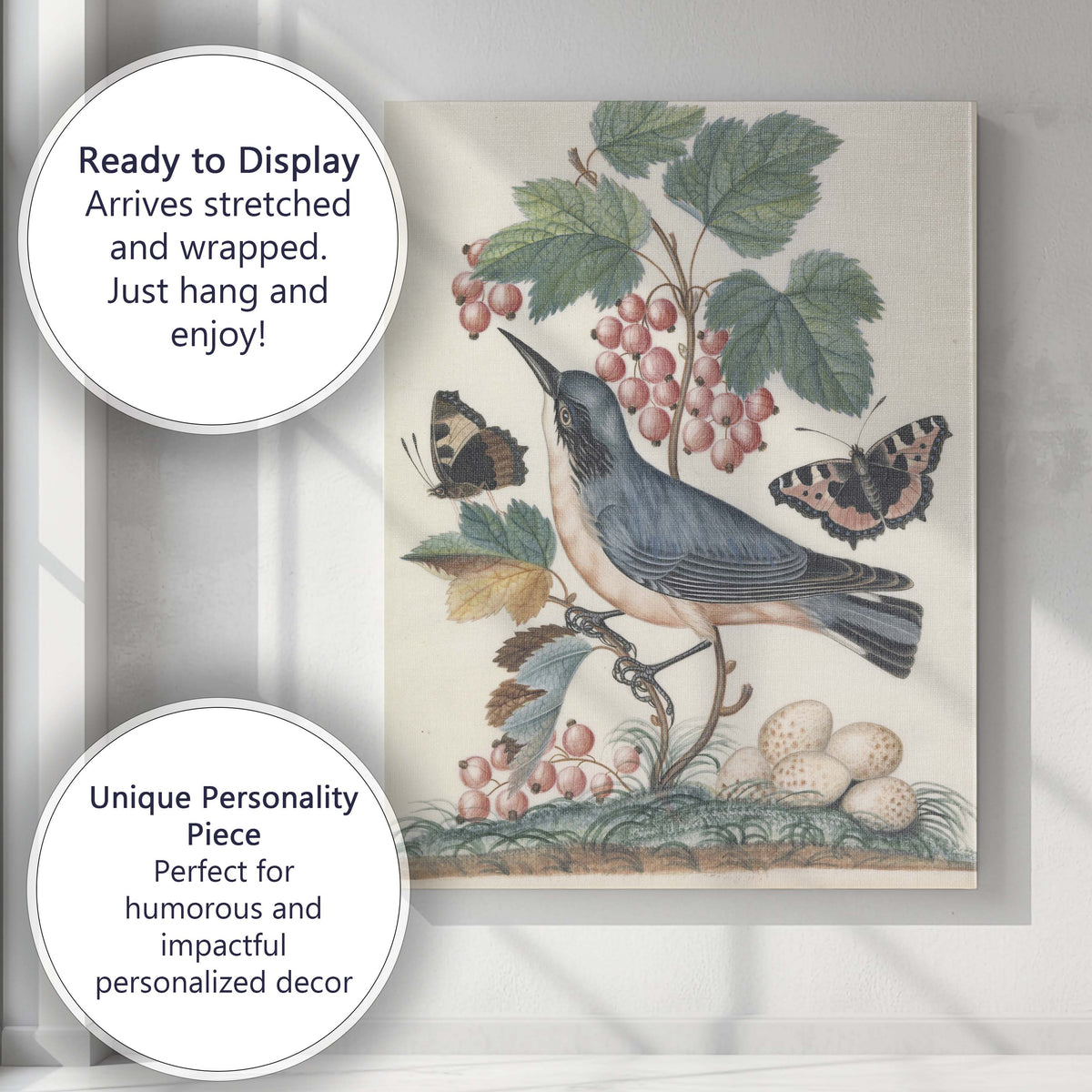 Antique Bird And Butterfly Nature Illustration Canvas Wall Art Print Decor Picture Ready to Hang
