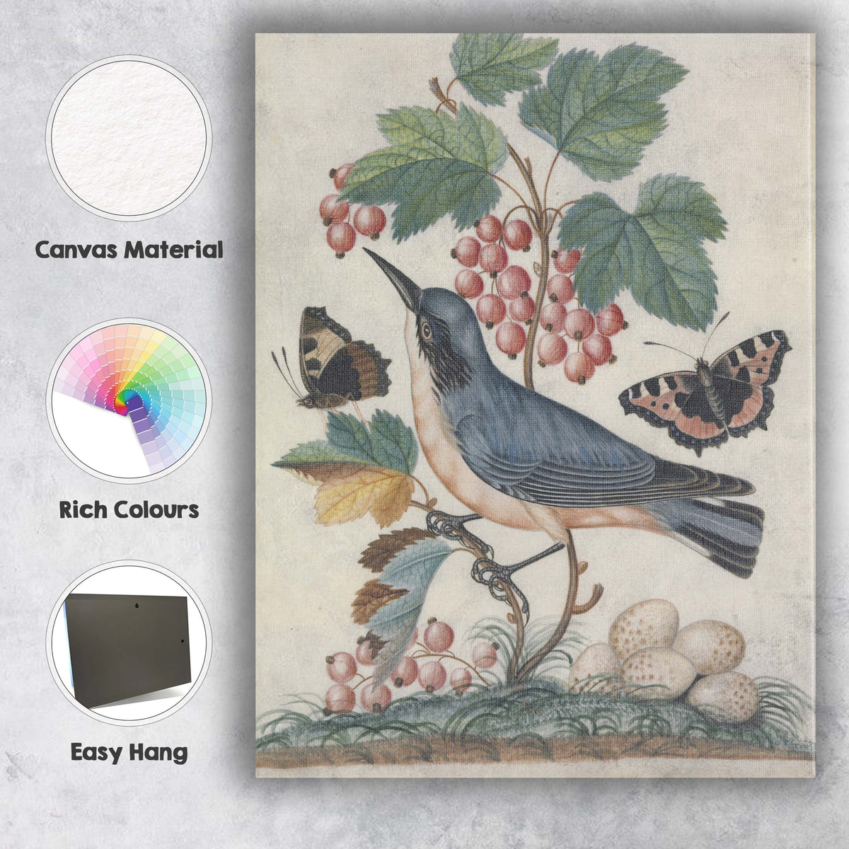 Antique Bird And Butterfly Nature Illustration Canvas Wall Art Print Decor Picture Ready to Hang