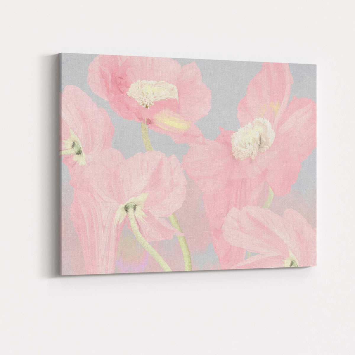 Pastel Pink Poppy Flower Close Up Floral Artwork Canvas Wall Art Print Decor Picture Ready to Hang