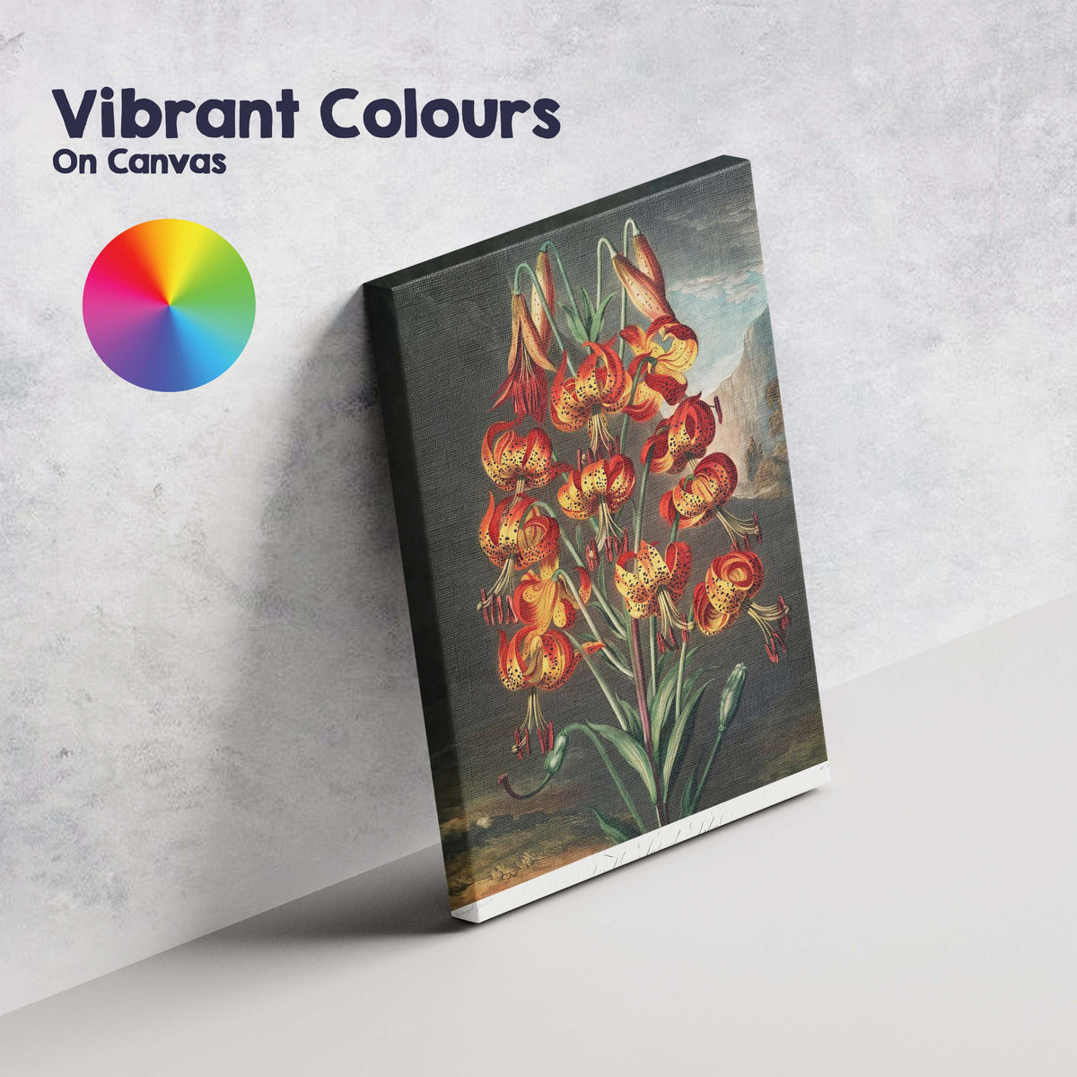 Vibrant Tiger Lily Botanical Antique Flower Illustration Canvas Wall Art Print Decor Picture Ready to Hang