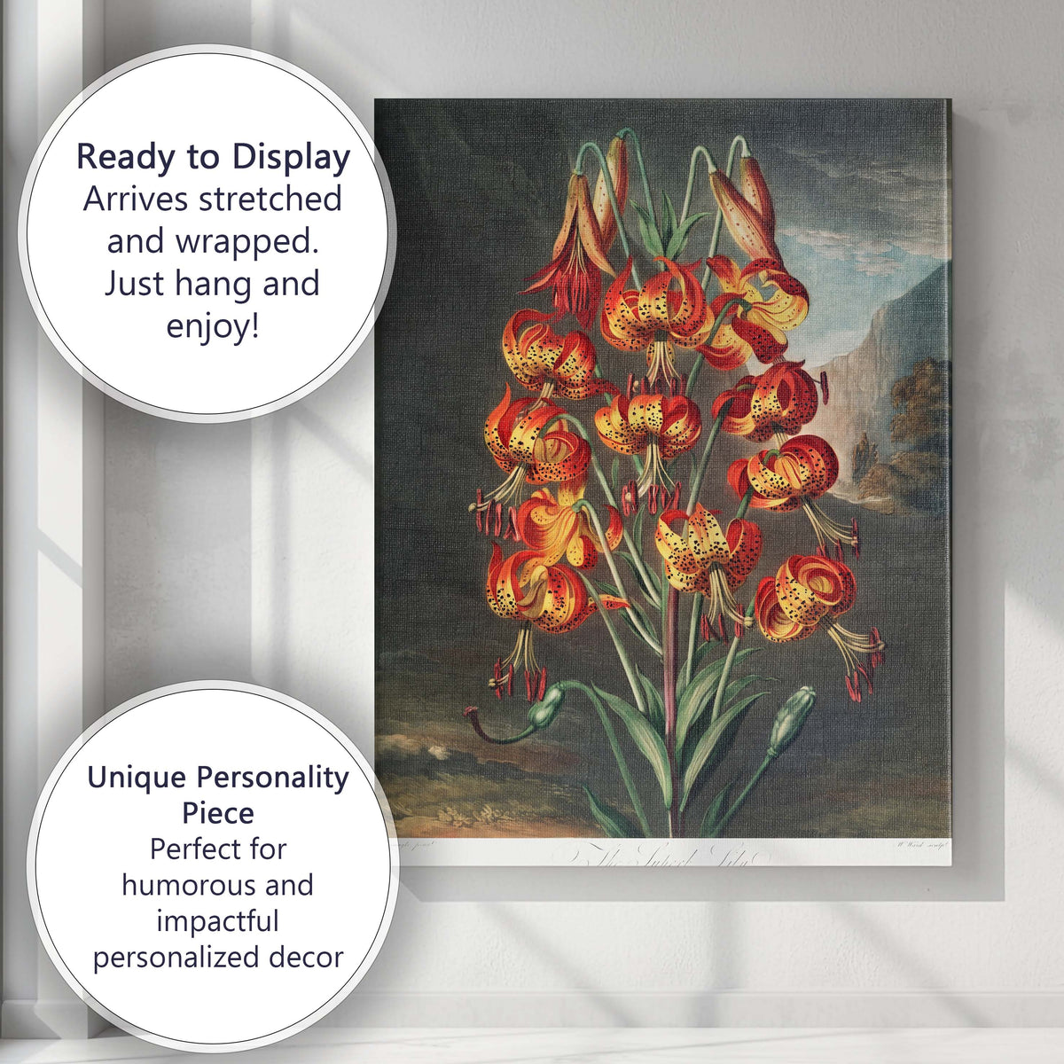 Vibrant Tiger Lily Botanical Antique Flower Illustration Canvas Wall Art Print Decor Picture Ready to Hang