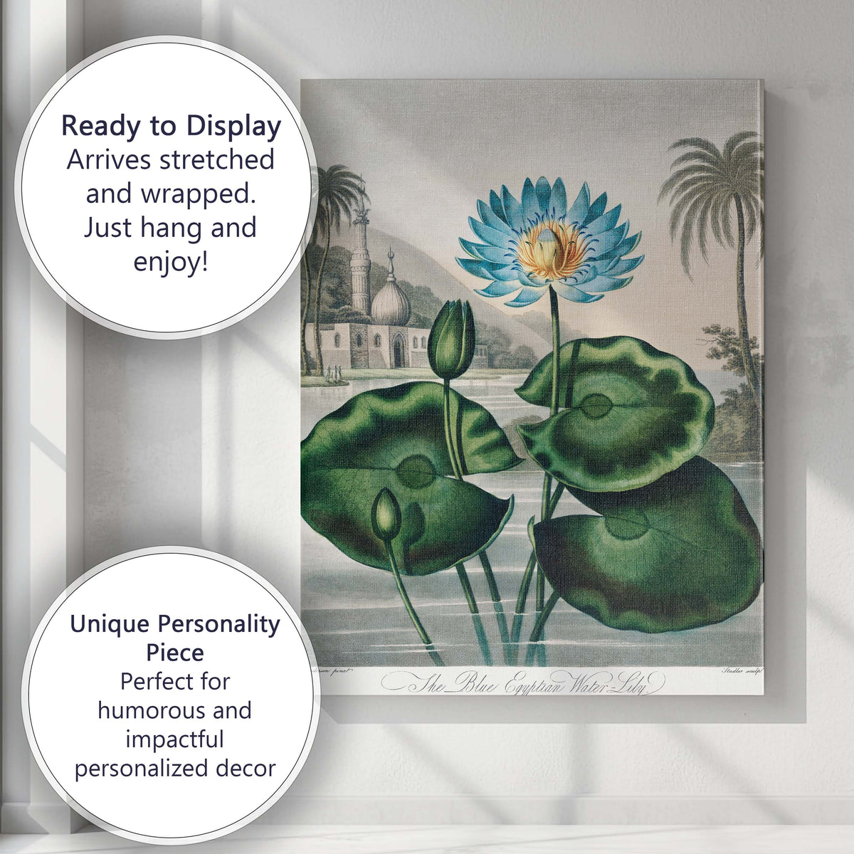 Blue Egyptian Water Lily Exotic Pond Botanical Canvas Wall Art Print Decor Picture Ready to Hang