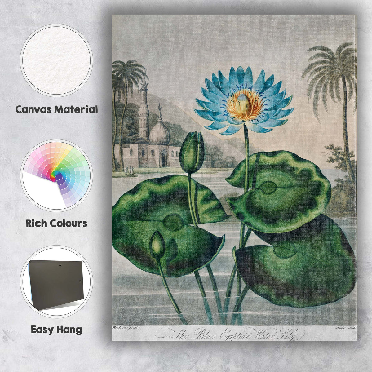 Blue Egyptian Water Lily Exotic Pond Botanical Canvas Wall Art Print Decor Picture Ready to Hang