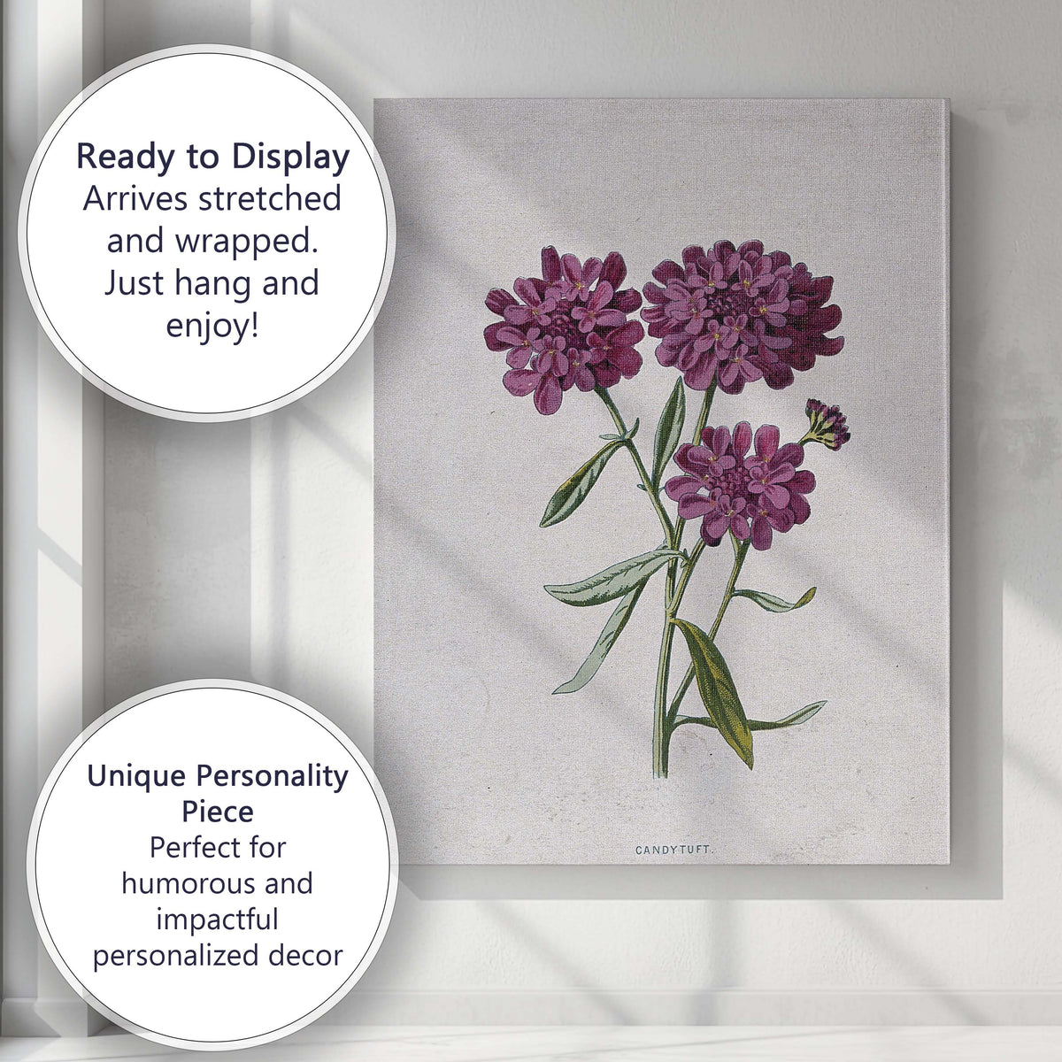 Antique Purple Candytuft Botanical Floral Illustration Canvas Wall Art Print Decor Picture Ready to Hang