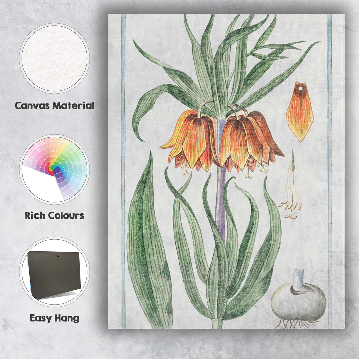 Antique Crown Imperial Orange Bell Flower Botanical Illustration Canvas Wall Art Print Decor Picture Ready to Hang