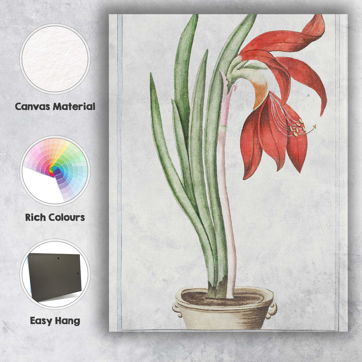 Antique Red Amaryllis Lily Flower Botanical Illustration Elegant Floral Canvas Wall Art Print Decor Picture Ready to Hang