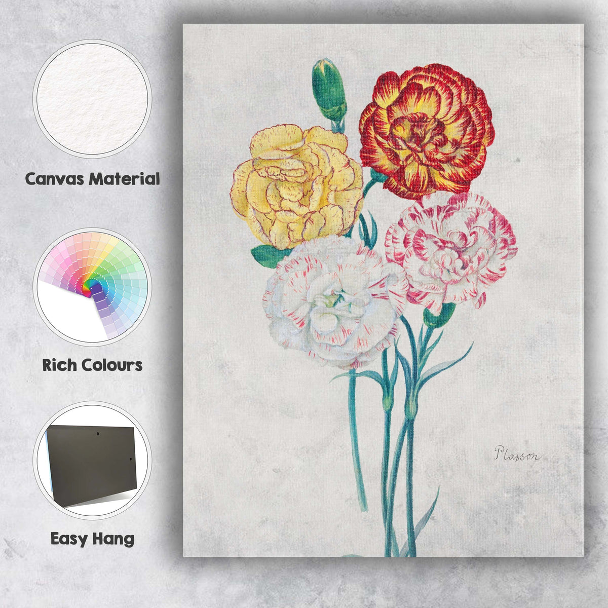 Antique Carnation Botanical Illustration Floral Study Canvas Wall Art Print Decor Picture Ready to Hang