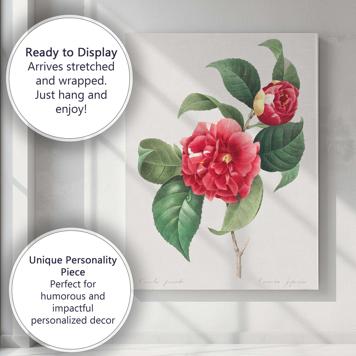 Classic Red Camellia Japonica Botanical Flower Artwork Canvas Wall Art Print Decor Picture Ready to Hang