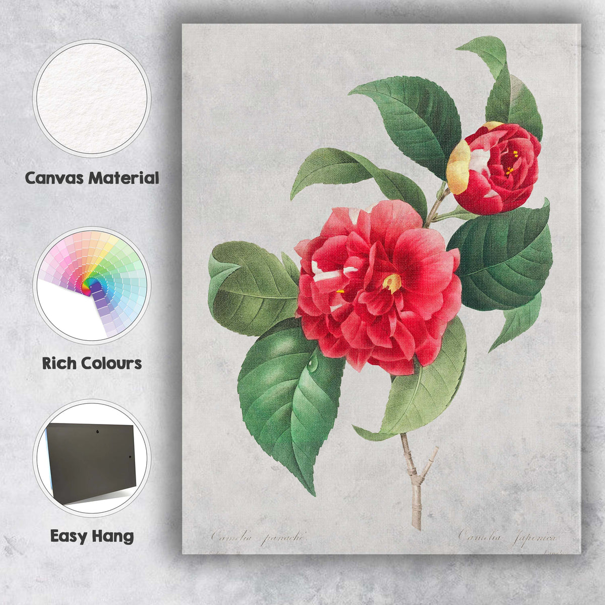 Classic Red Camellia Japonica Botanical Flower Artwork Canvas Wall Art Print Decor Picture Ready to Hang