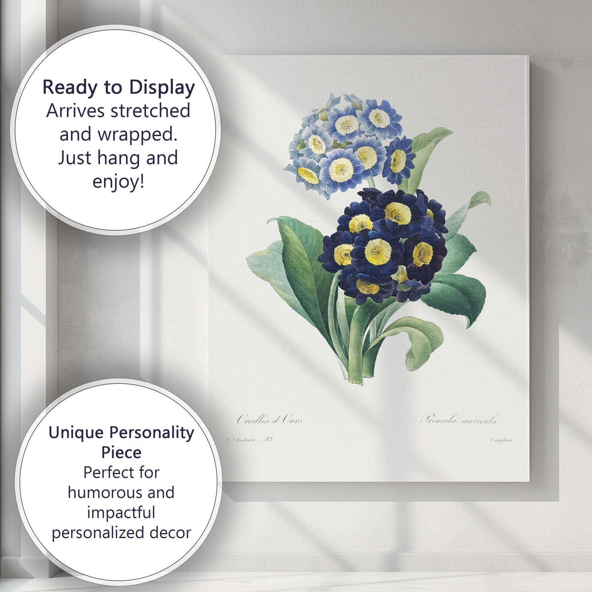 Blue Primrose Botanical Illustration Antique Floral Garden Canvas Wall Art Print Decor Picture Ready to Hang