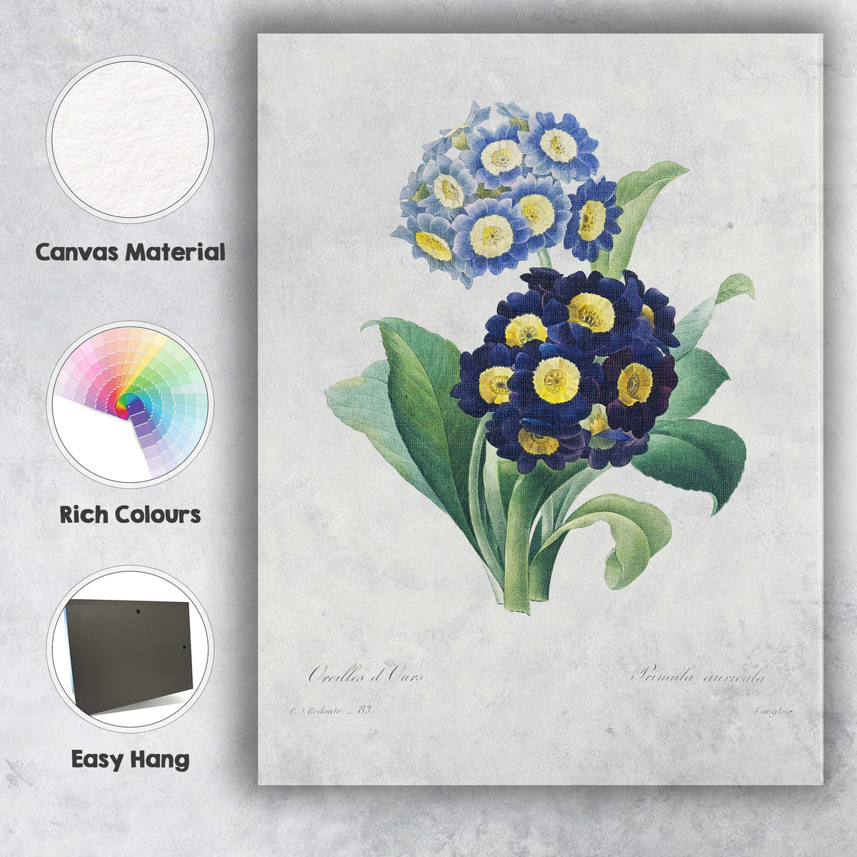 Blue Primrose Botanical Illustration Antique Floral Garden Canvas Wall Art Print Decor Picture Ready to Hang