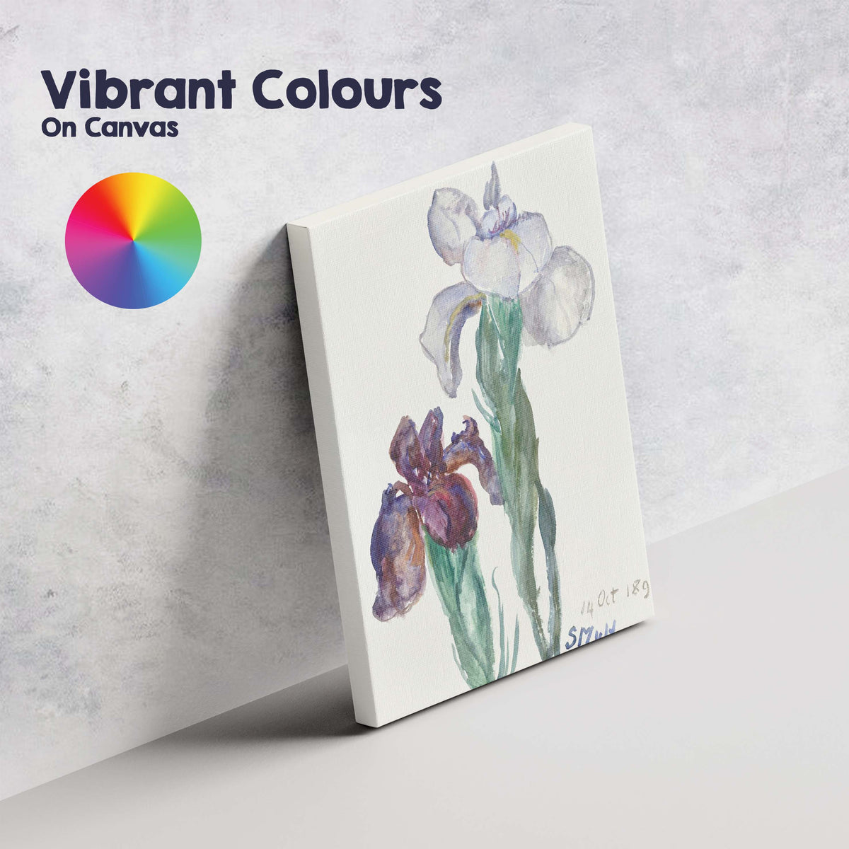 Delicate Watercolour Iris Flower Botanical Painting Canvas Wall Art Print Decor Picture Ready to Hang