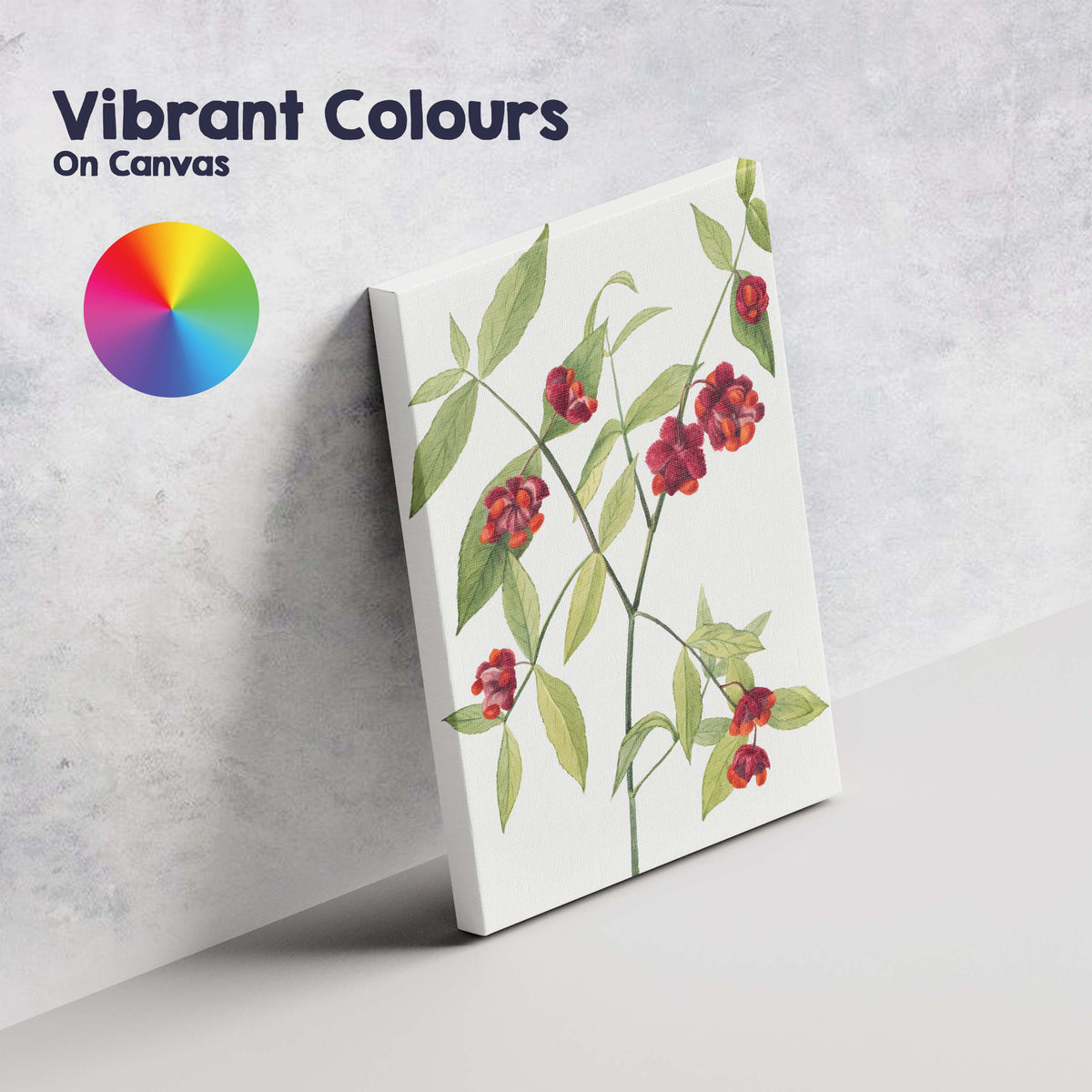 Red Orange Spindle Berry Botanical Watercolour Illustration Canvas Wall Art Print Decor Picture Ready to Hang