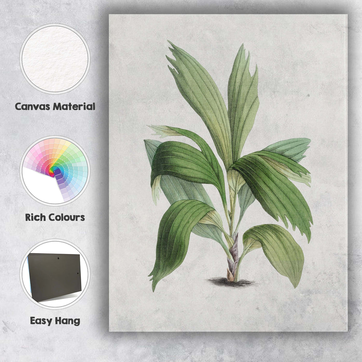 Elegant Green Tropical Foliage Botanical Illustration Canvas Wall Art Print Decor Picture Ready to Hang
