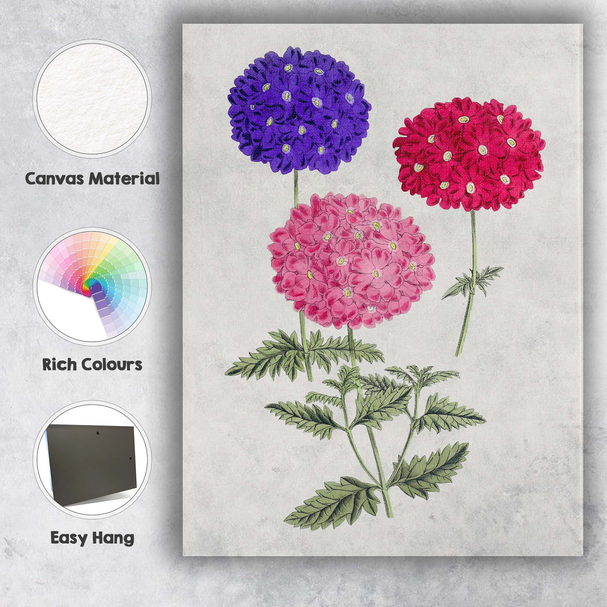 Purple and Pink Verbena Flower Botanical Illustration Canvas Wall Art Print Decor Picture Ready to Hang