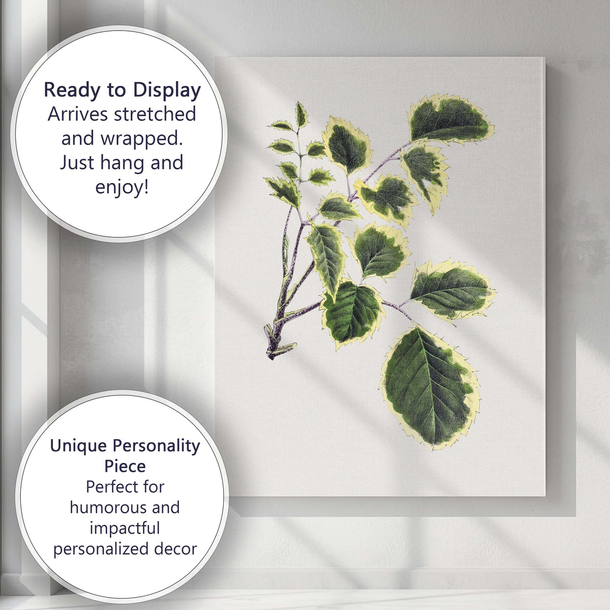 Green and Cream Variegated Leaf Branch Botanical Illustration Canvas Wall Art Print Decor Picture Ready to Hang